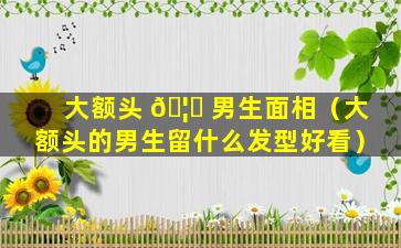 大额头 🦆 男生面相（大额头的男生留什么发型好看）